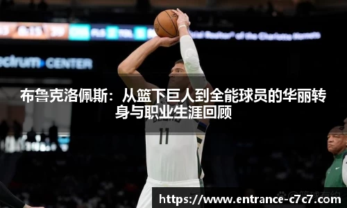 布鲁克洛佩斯：从篮下巨人到全能球员的华丽转身与职业生涯回顾