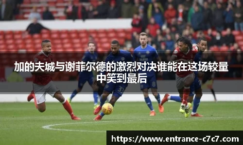 加的夫城与谢菲尔德的激烈对决谁能在这场较量中笑到最后